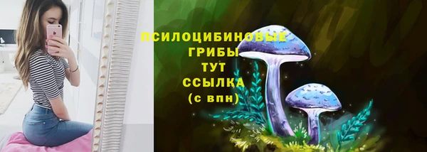 марки nbome Белокуриха